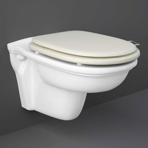 RAK Washington Wall Hung Toilet - Greige Soft Close Wood Seat